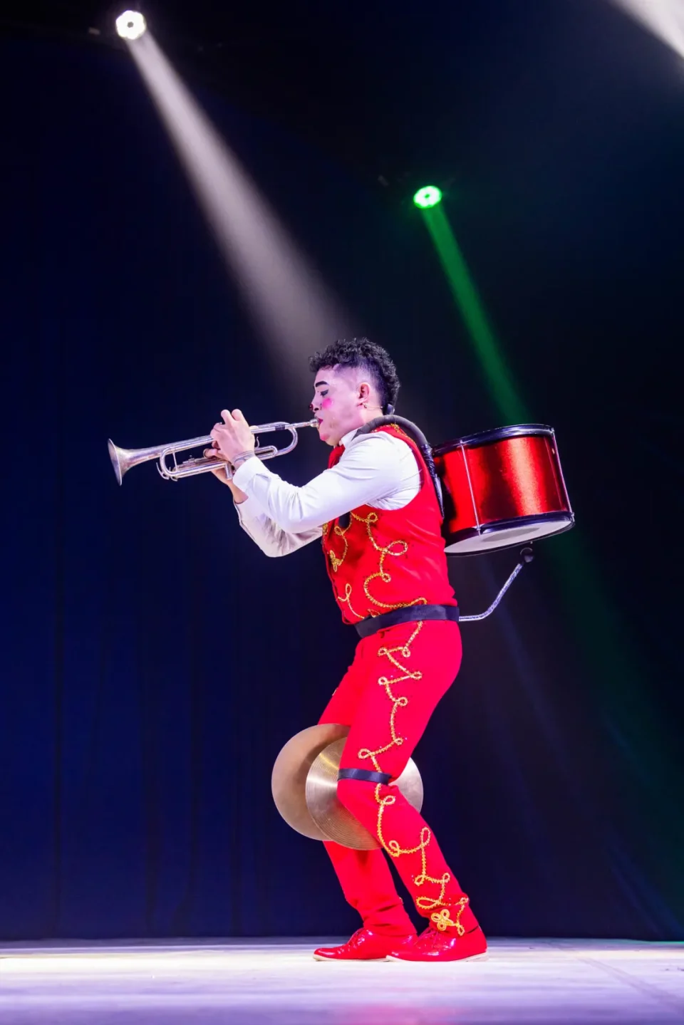 Star-Clown Mosquito
