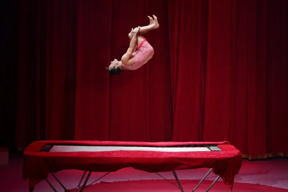 Mr. Jumping